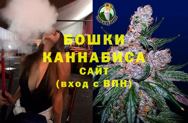 бошки Богданович